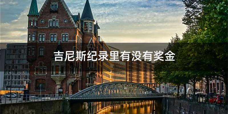 吉尼斯纪录里有没有奖金