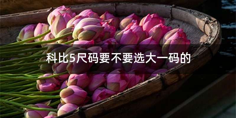 科比5尺码要不要选大一码的