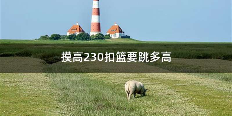 摸高230扣篮要跳多高