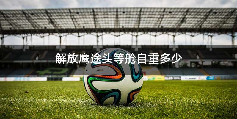 解放鹰途头等舱自重多少