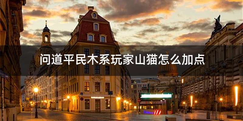 问道平民木系玩家山猫怎么加点