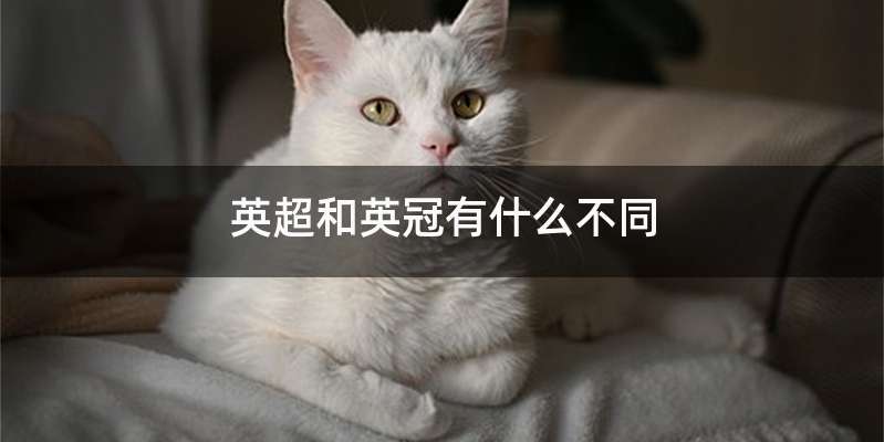 英超和英冠有什么不同