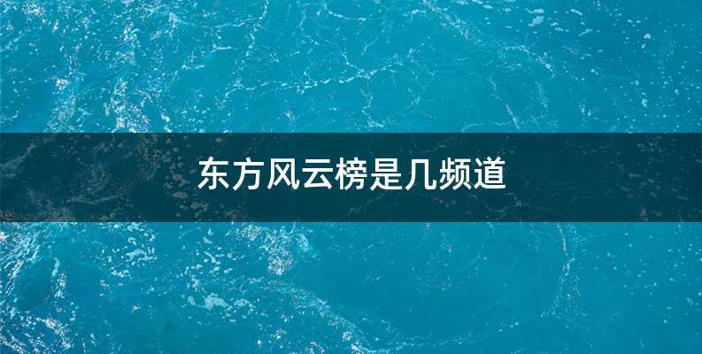 东方风云榜是几频道