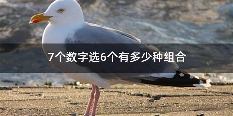 7个数字选6个有多少种组合