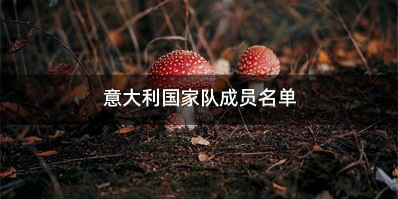 意大利国家队成员名单