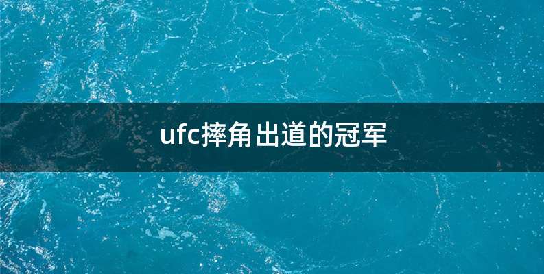 ufc摔角出道的冠军