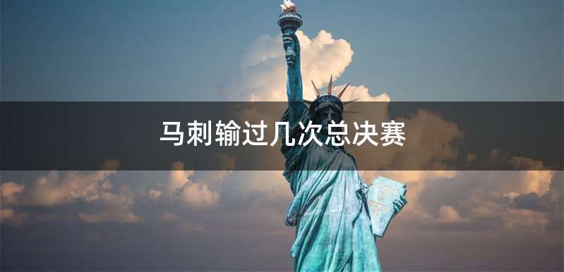 马刺输过几次总决赛