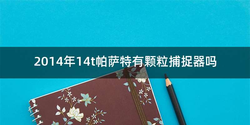 2014年14t帕萨特有颗粒捕捉器吗
