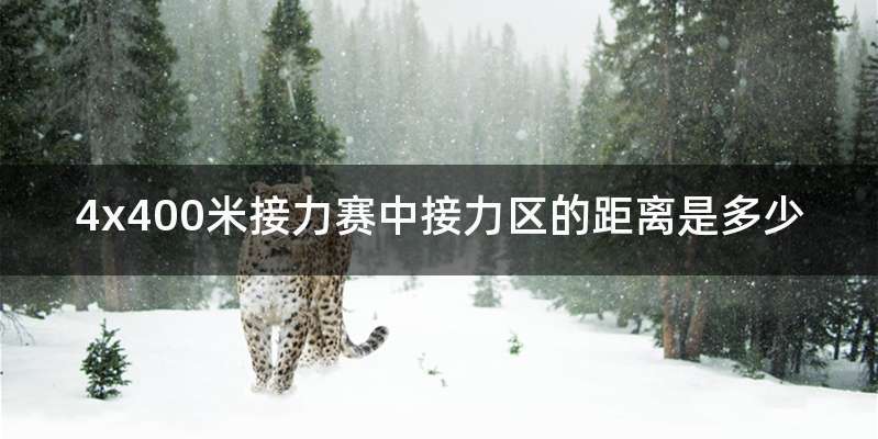 4x400米接力赛中接力区的距离是多少