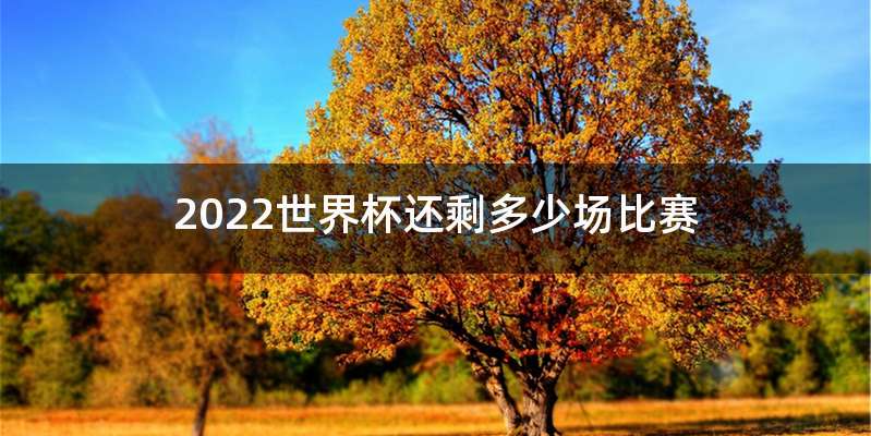 2022世界杯还剩多少场比赛