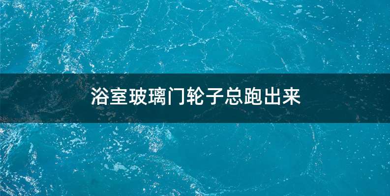 浴室玻璃门轮子总跑出来