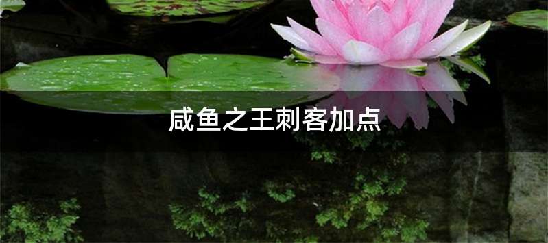 咸鱼之王刺客加点