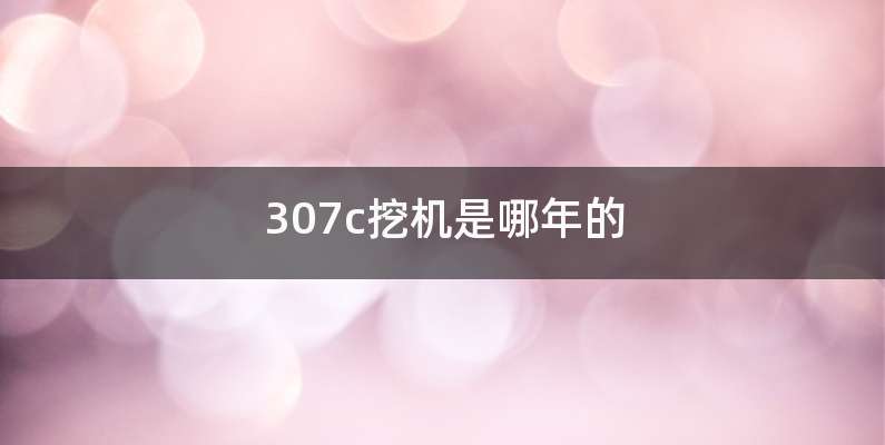 307c挖机是哪年的