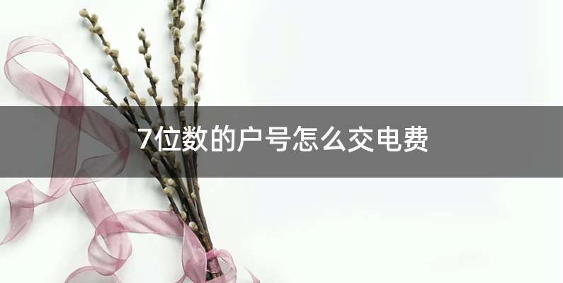 7位数的户号怎么交电费