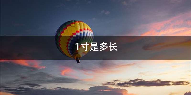 1寸是多长