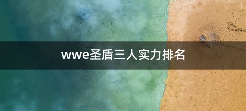 wwe圣盾三人实力排名