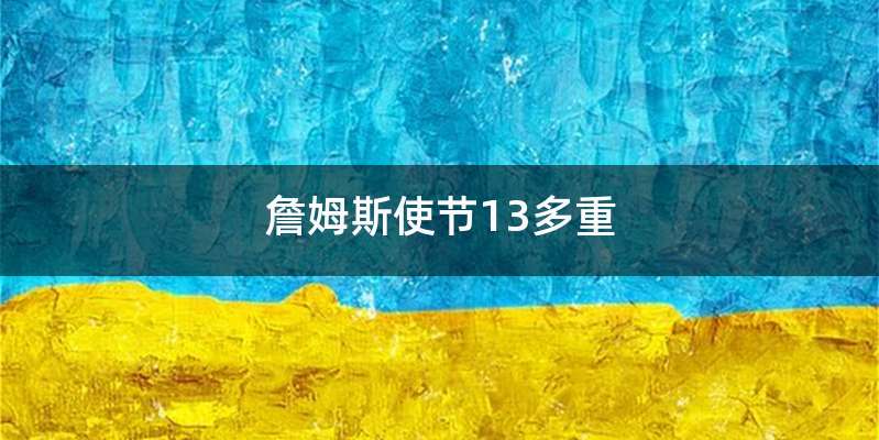 詹姆斯使节13多重