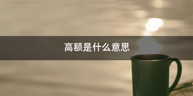 高额是什么意思
