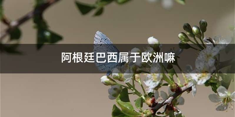 阿根廷巴西属于欧洲嘛