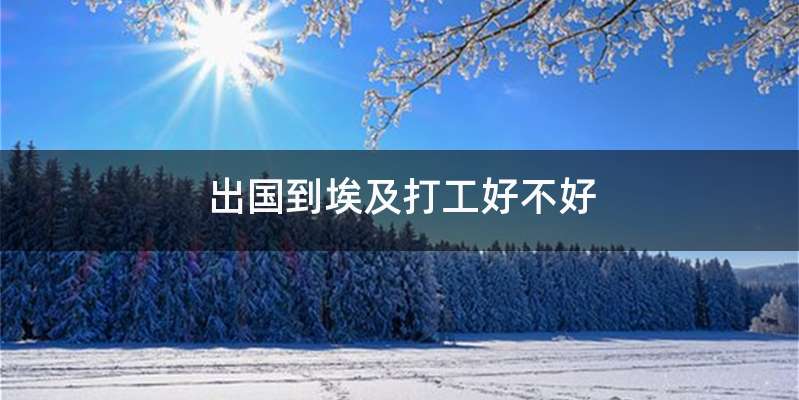 出国到埃及打工好不好