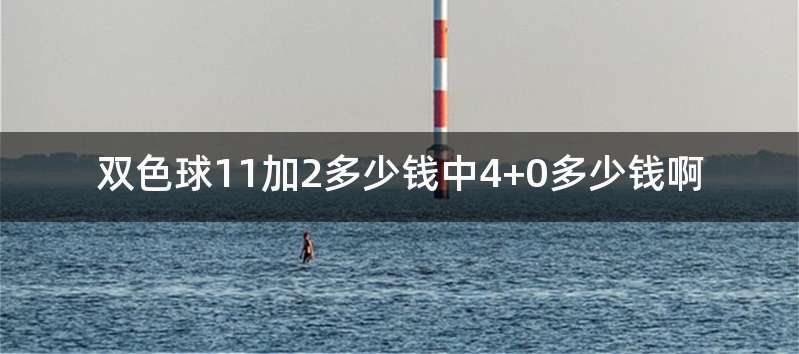 双色球11加2多少钱中4+0多少钱啊