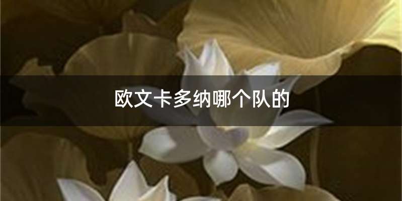 欧文卡多纳哪个队的