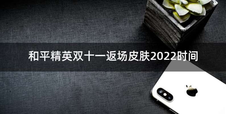 和平精英双十一返场皮肤2022时间