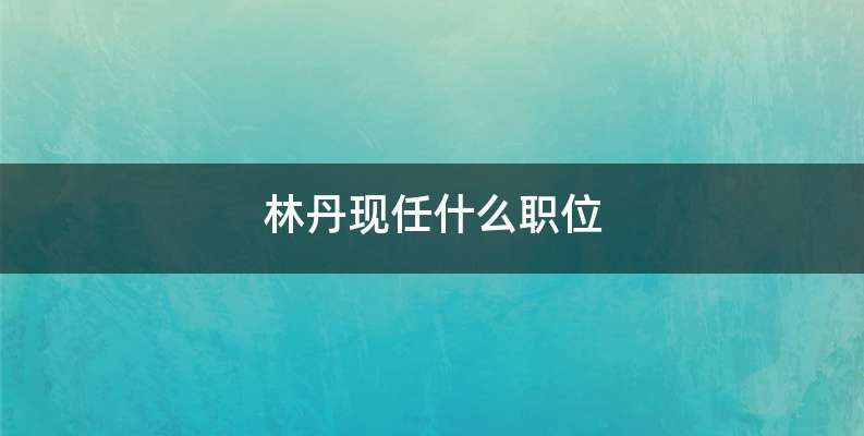 林丹现任什么职位