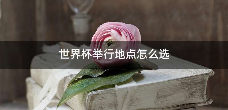 世界杯举行地点怎么选