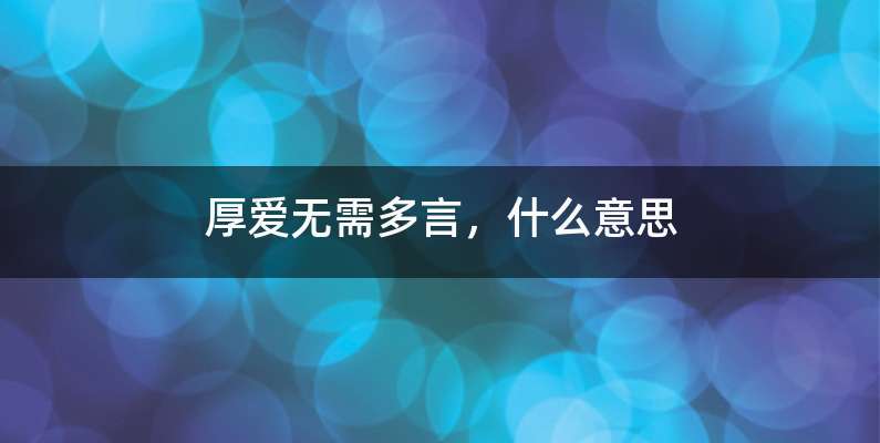 厚爱无需多言，什么意思