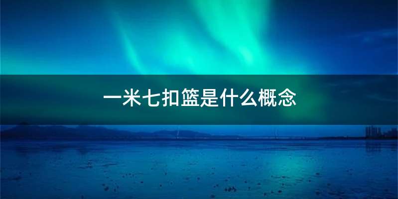 一米七扣篮是什么概念