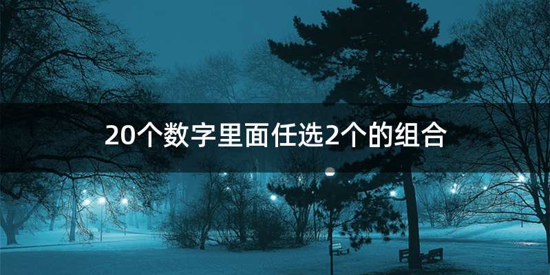 20个数字里面任选2个的组合