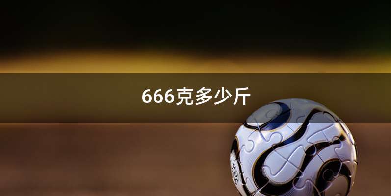 666克多少斤