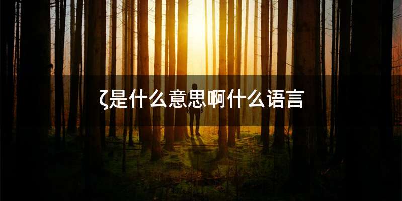 ζ是什么意思啊什么语言