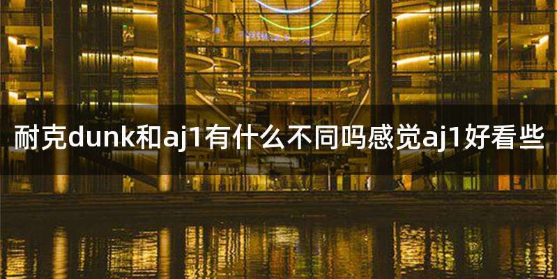 耐克dunk和aj1有什么不同吗感觉aj1好看些