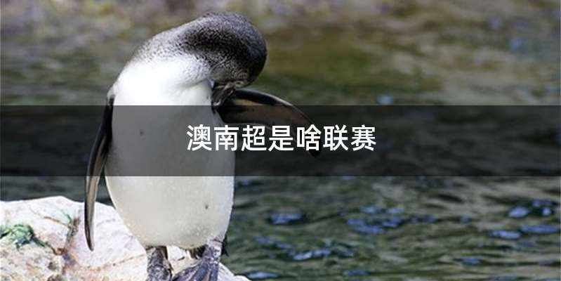 澳南超是啥联赛
