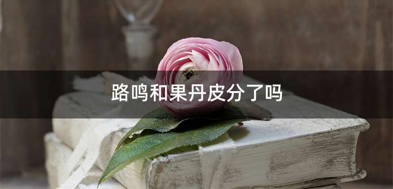 路鸣和果丹皮分了吗