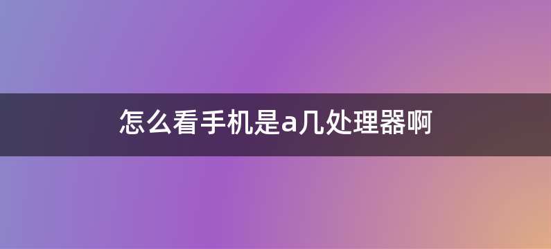 怎么看手机是a几处理器啊