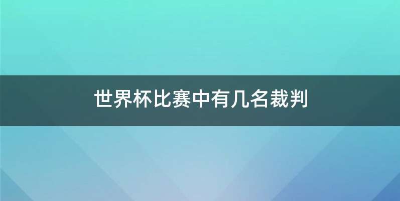 世界杯比赛中有几名裁判