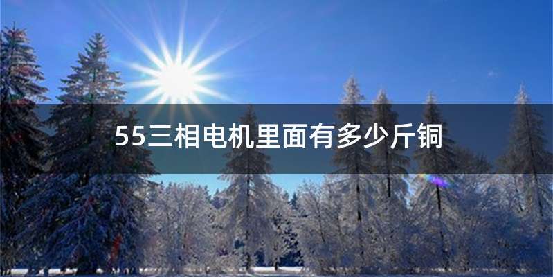 55三相电机里面有多少斤铜