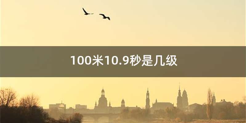 100米10.9秒是几级