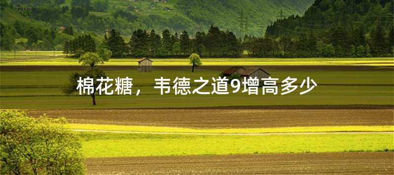 棉花糖，韦德之道9增高多少