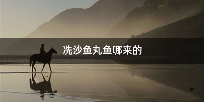 冼沙鱼丸鱼哪来的