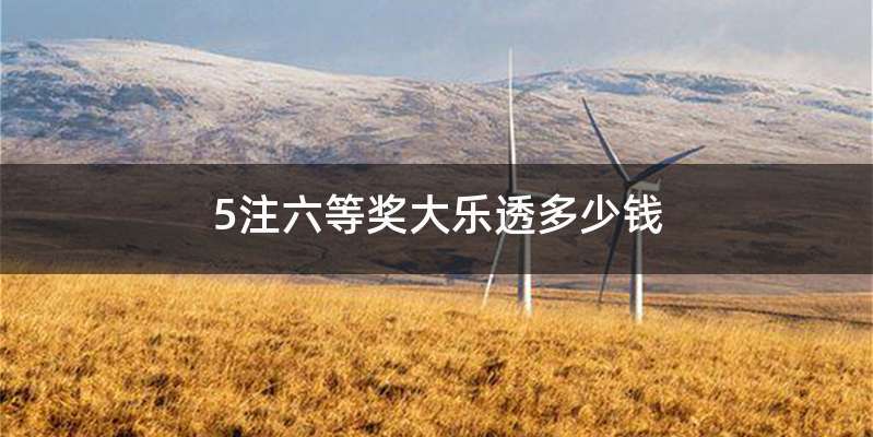 5注六等奖大乐透多少钱