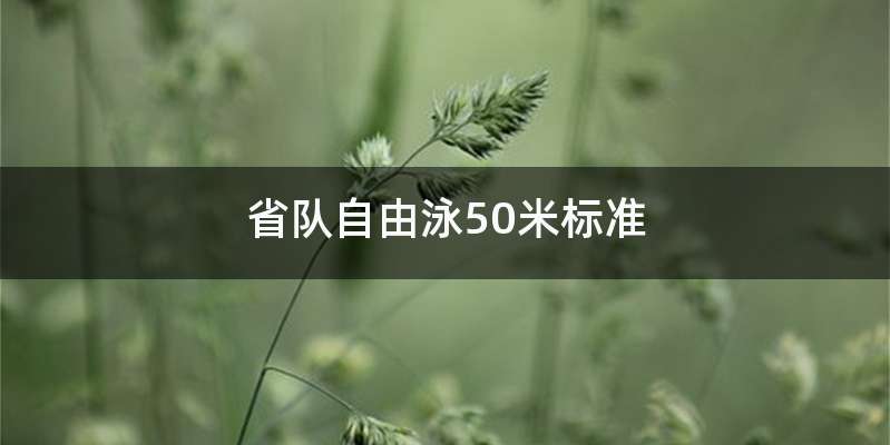 省队自由泳50米标准