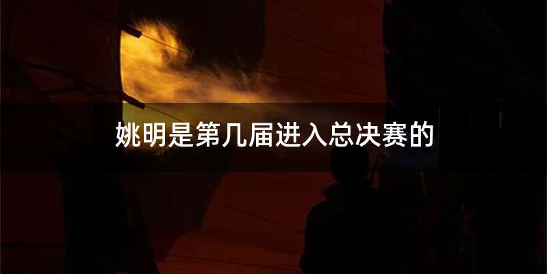 姚明是第几届进入总决赛的