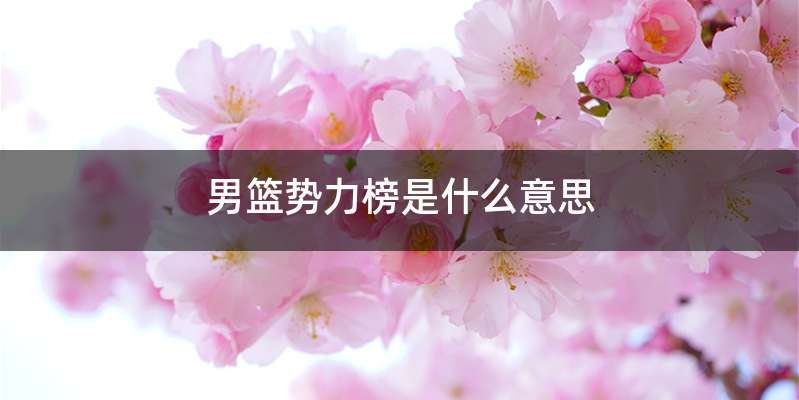 男篮势力榜是什么意思