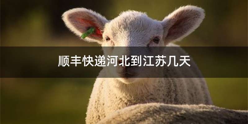 顺丰快递河北到江苏几天