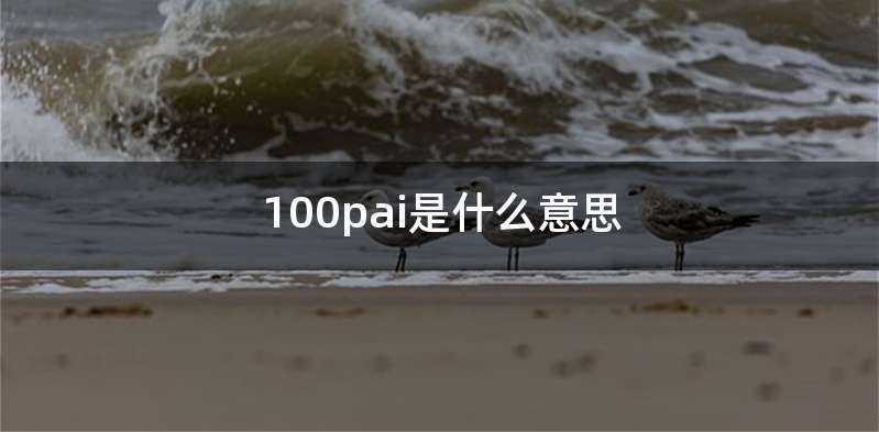 100pai是什么意思