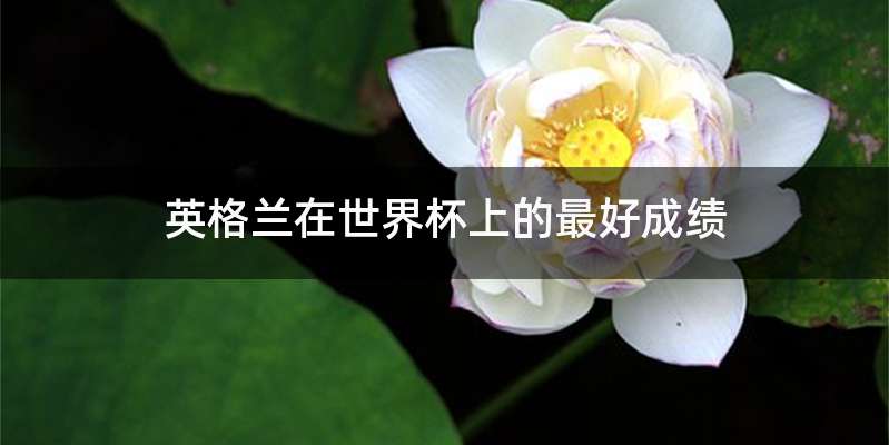 英格兰在世界杯上的最好成绩